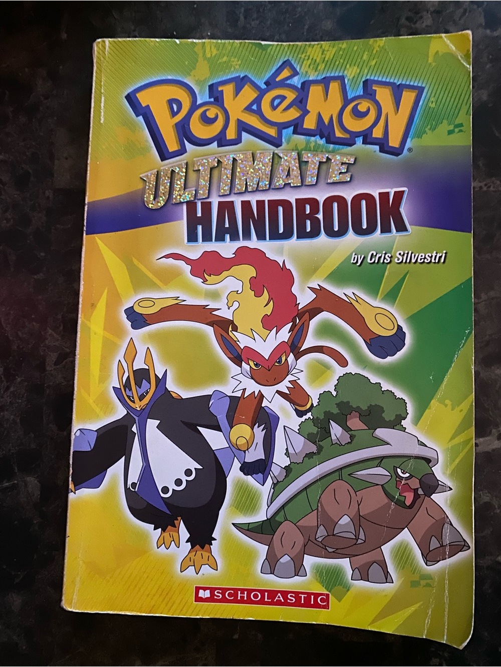 Y2K Pokémon Ultimate Handbook 2008